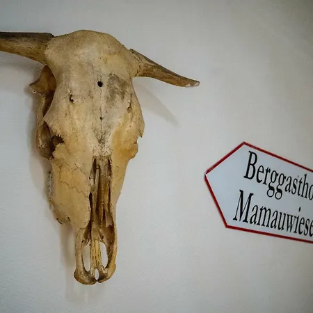 Mamauwiese *